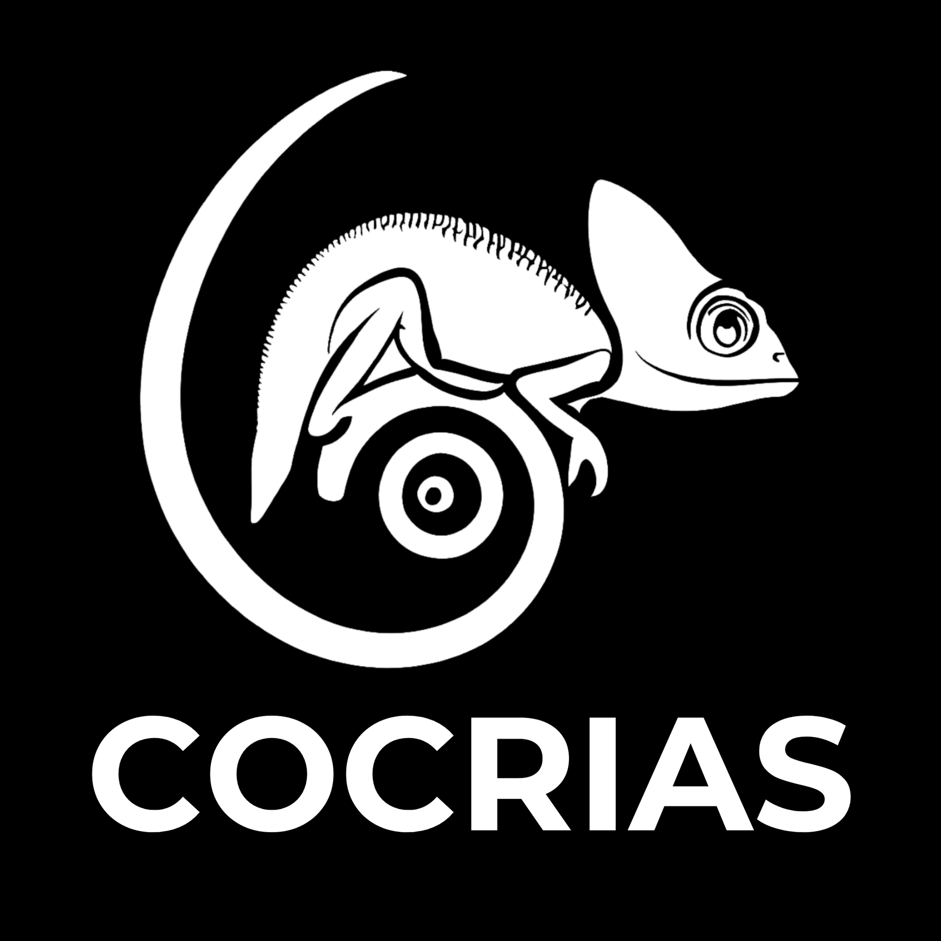 Site Odoo Cocrias